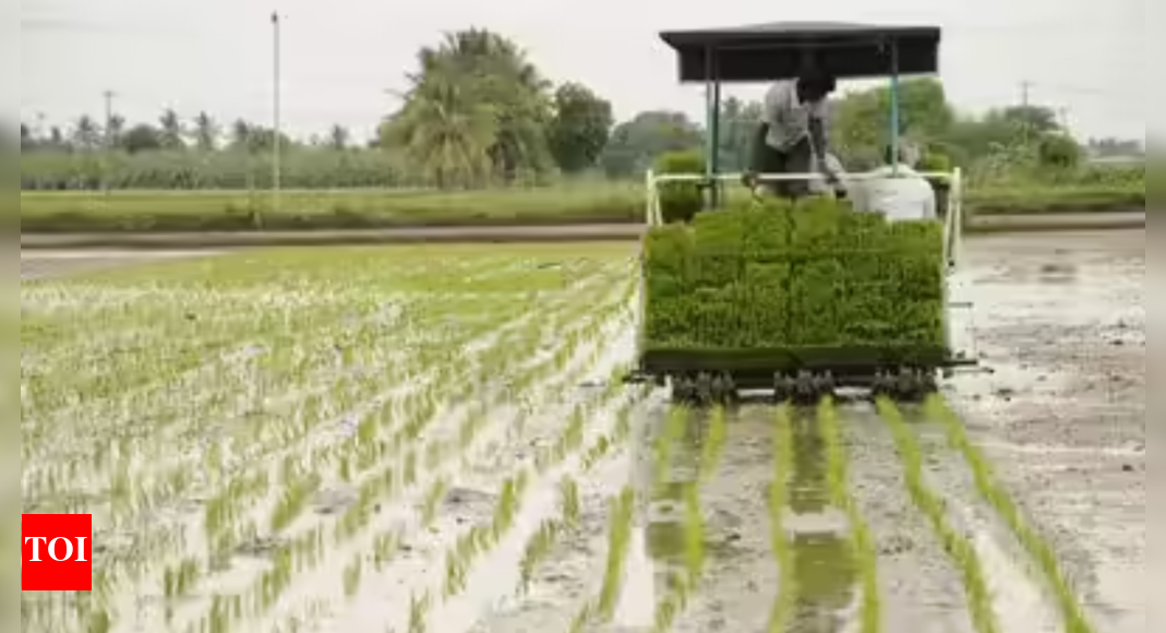 Total sown area this monsoon: Kharif sowing jumps 11.3% on strong monsoon; rice and pulses lead acreage surge