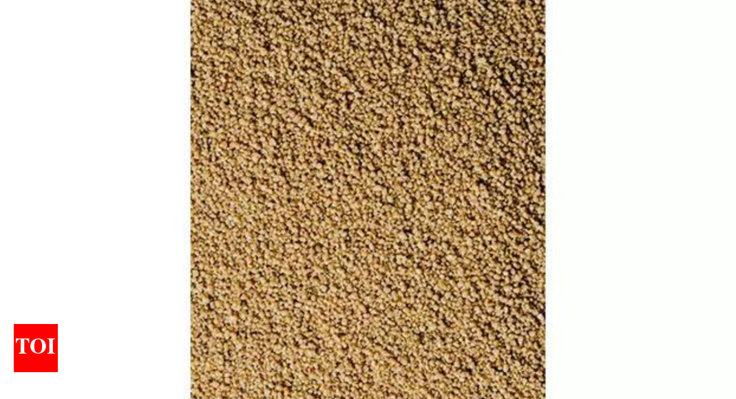 Codex recognition: India’s millet standards praised at Rome meet; fresh date, turmeric norms also advanced