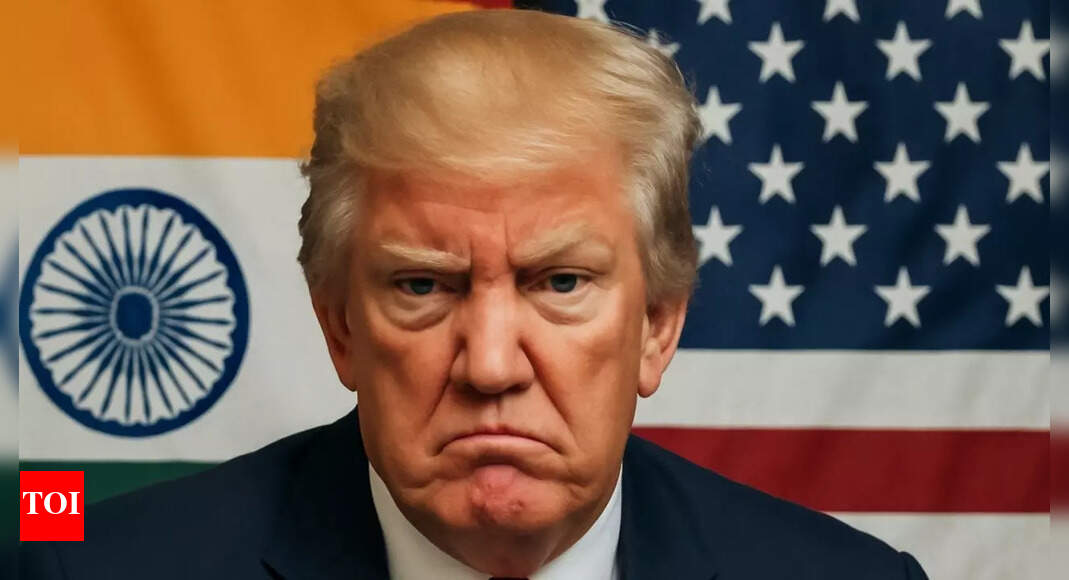 ‘Trump frustrated with India trade talks…’: US President feels 25% tariff will ‘remedy’ the situation, says adviser; additional penalty for Russia trade ‘shortly’