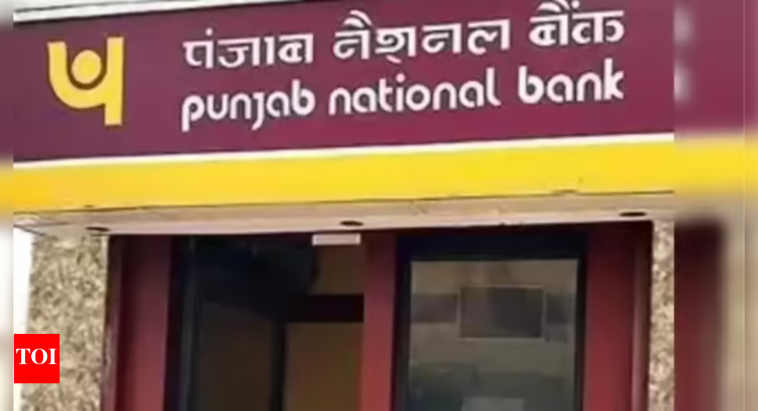 PNB: Bank eyes Rs 30 lakh crore milestone by March 2026; confident of beating target with profit-led growth