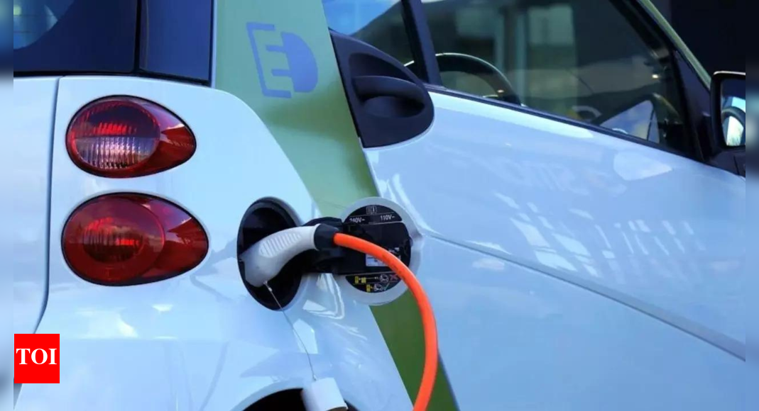 Electric mobility index 2024: Delhi, Maharashtra, Chandigarh top Niti Aayog’s EV index; 29 states have EV policies in place