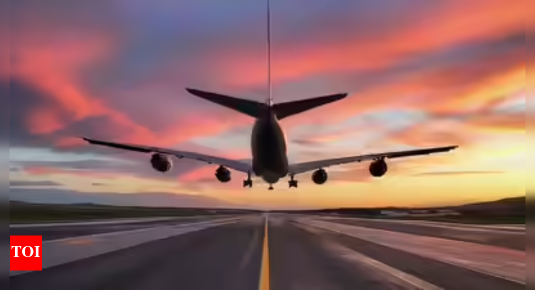 Aviation safety: Parliament panel flags DGCA staff shortage; half of all posts vacant, push for autonomy