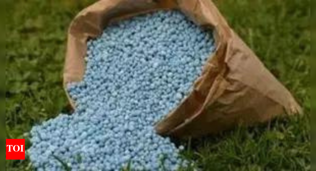 Specialty fertiliser sector under risk? China to reimpose export curbs from October; India faces price surge