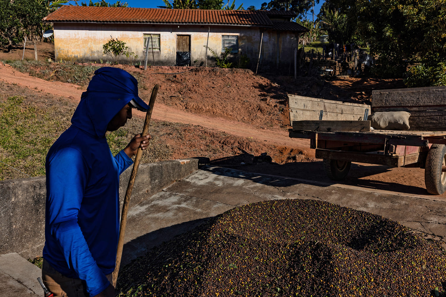 Trump hits Brazilian products with 50% tariffs over Bolsonaro​Andrea Mitchell