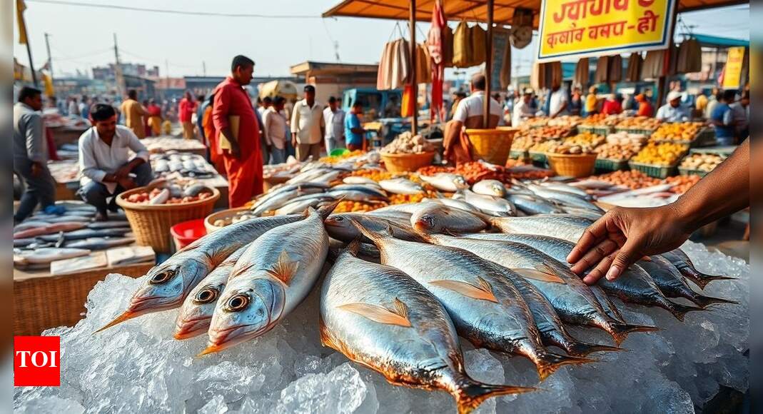 Hilsa shift: Gujarat’s Bharuch emerges as key fish supplier amid Bangladesh shortfall; here’s what’s happening