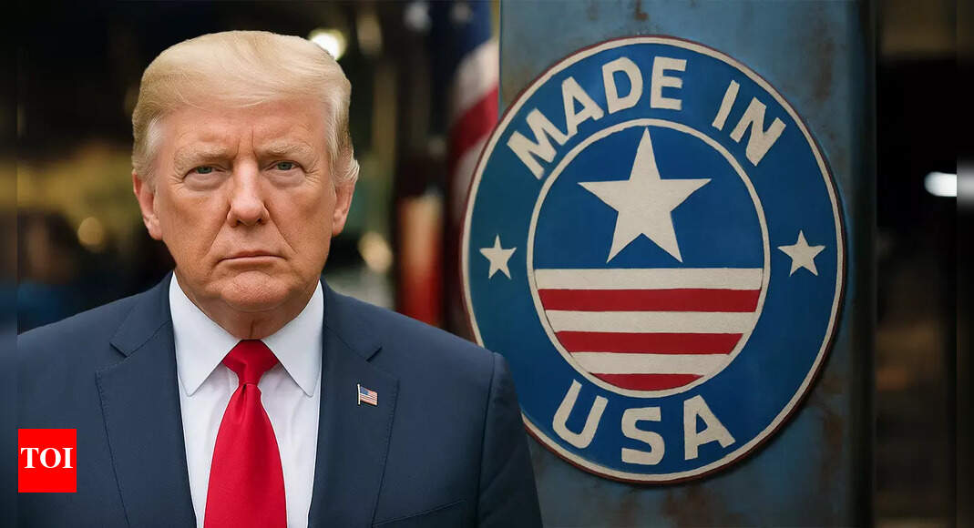 Hyundai raid fallout, US work visa system hurdles: How Trump’s Made-in-US dream is being paralysed – explained