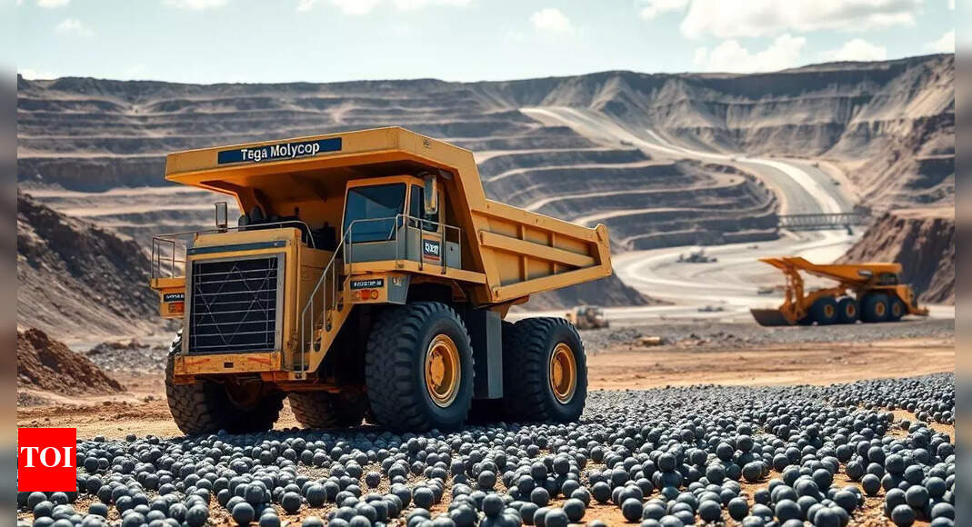 Tega to raise Rs3.3k cr to fund Molycop deal