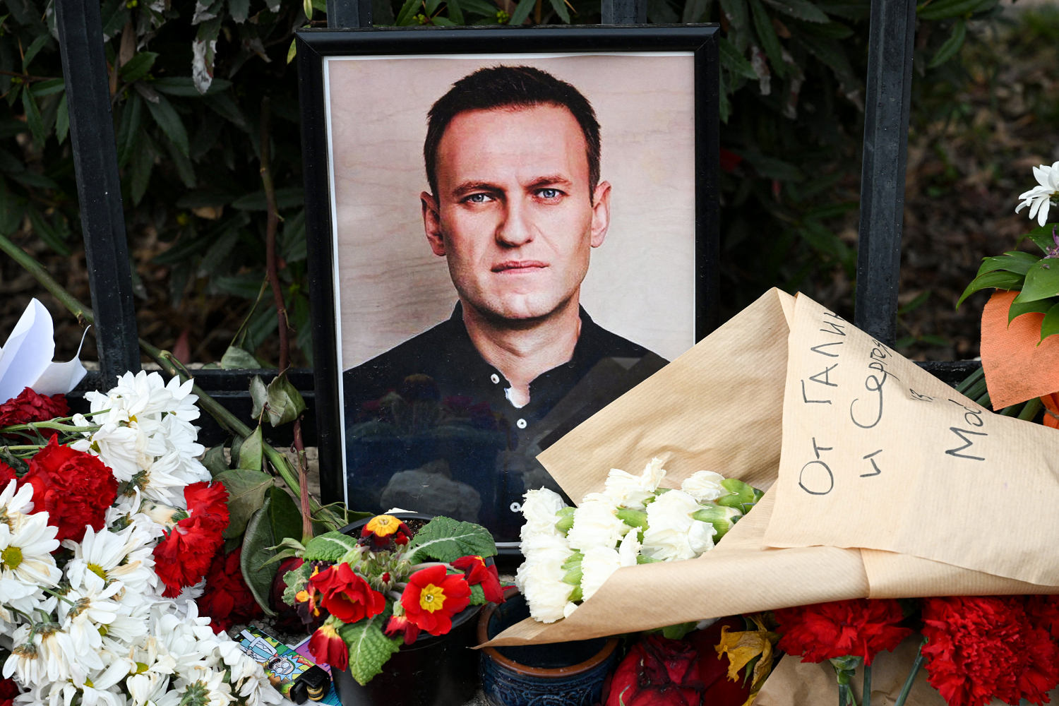 Lab tests show Russian opposition leader Navalny was poisoned, his wife says​Freddie Clayton