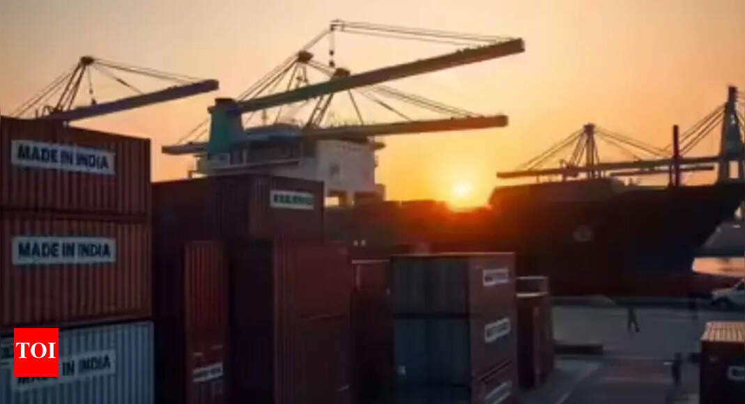 Government will not rush to bail out exporters hit by US’s 50% tariff