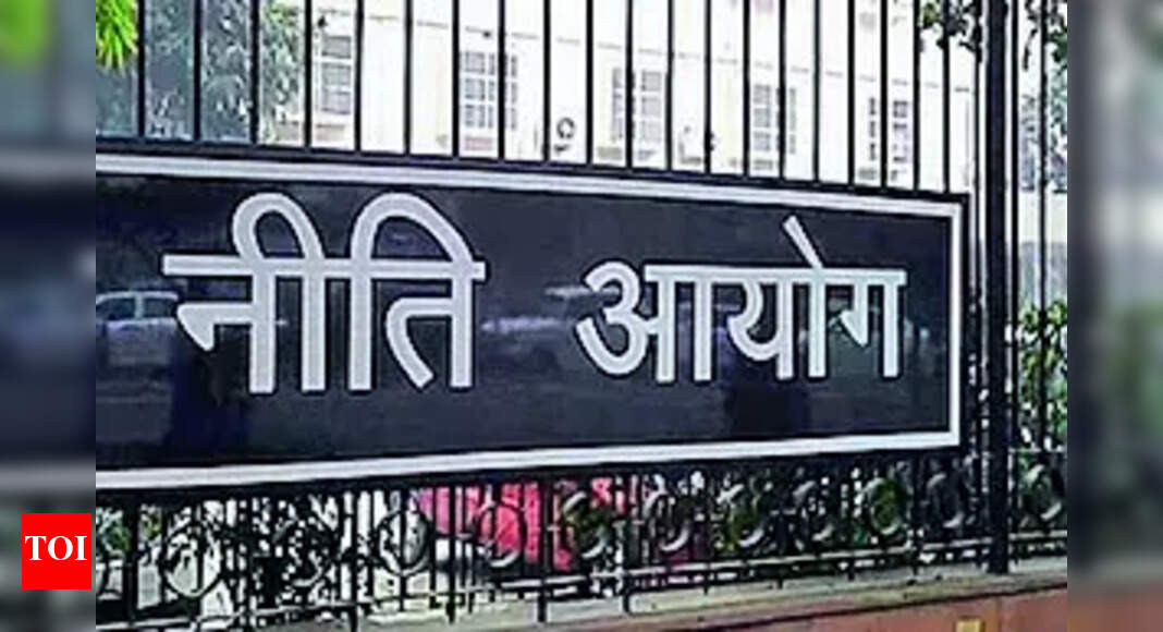 Services sector employed 188m in ’23-24: Niti Aayog