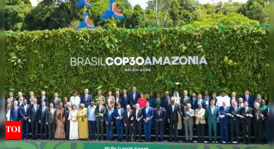 COP30: India calls equitable, concessional finance the cornerstone; urges developed nations to deliver on climate commitments