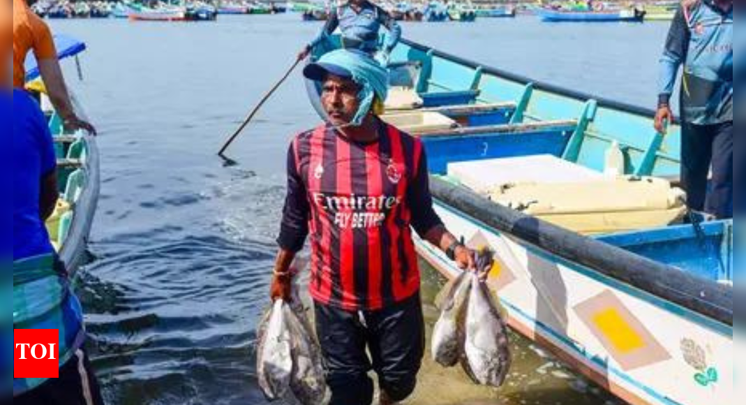 Marine reform: Centre notifies new deep-sea fishing rules; bans foreign vessels, empowers cooperatives – what changes for Indian fishers?