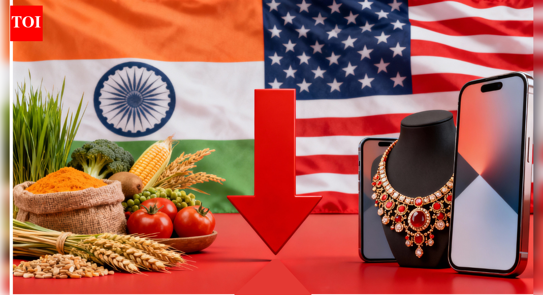Trump tariff impact: India’s exports to US down 28.5% in 5 months; key sectors battered