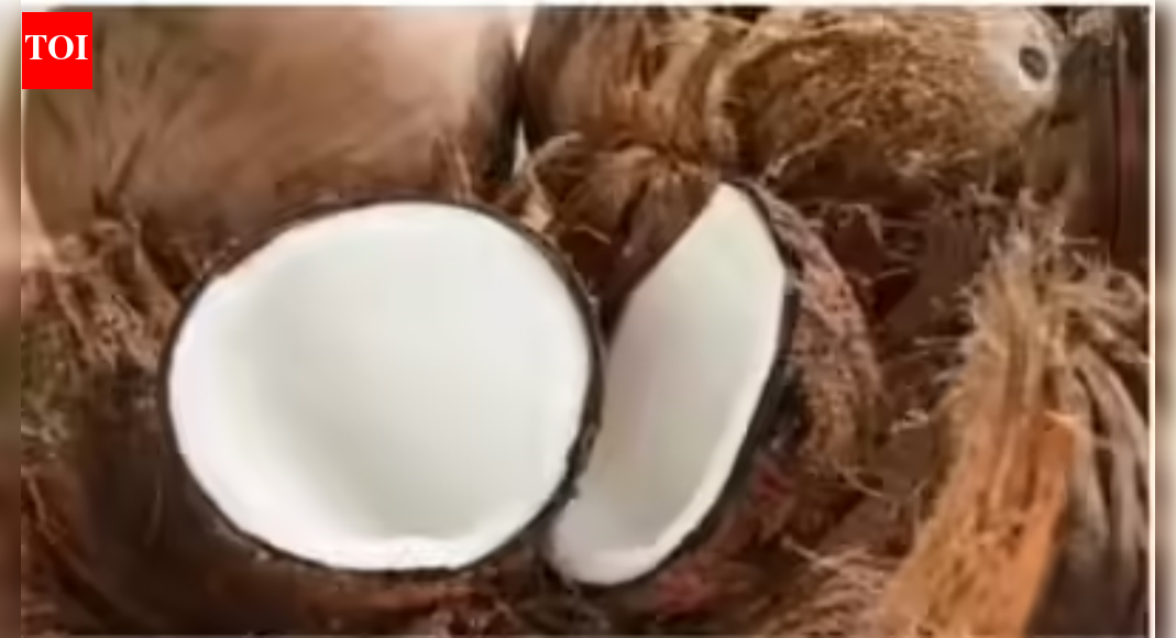 Copra price boost: Govt hikes Copra MSP for 2026 season; farmers to get up to Rs 12,500 per quintal