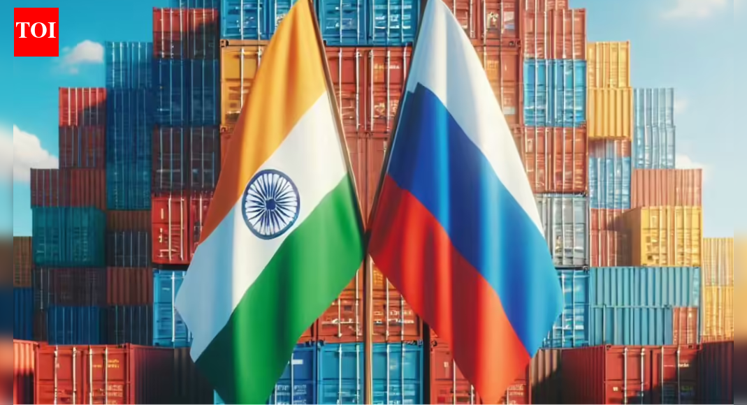 Trade boost: 300 Indian products identified for Russia export push; govt maps high-potential opportunity sectors