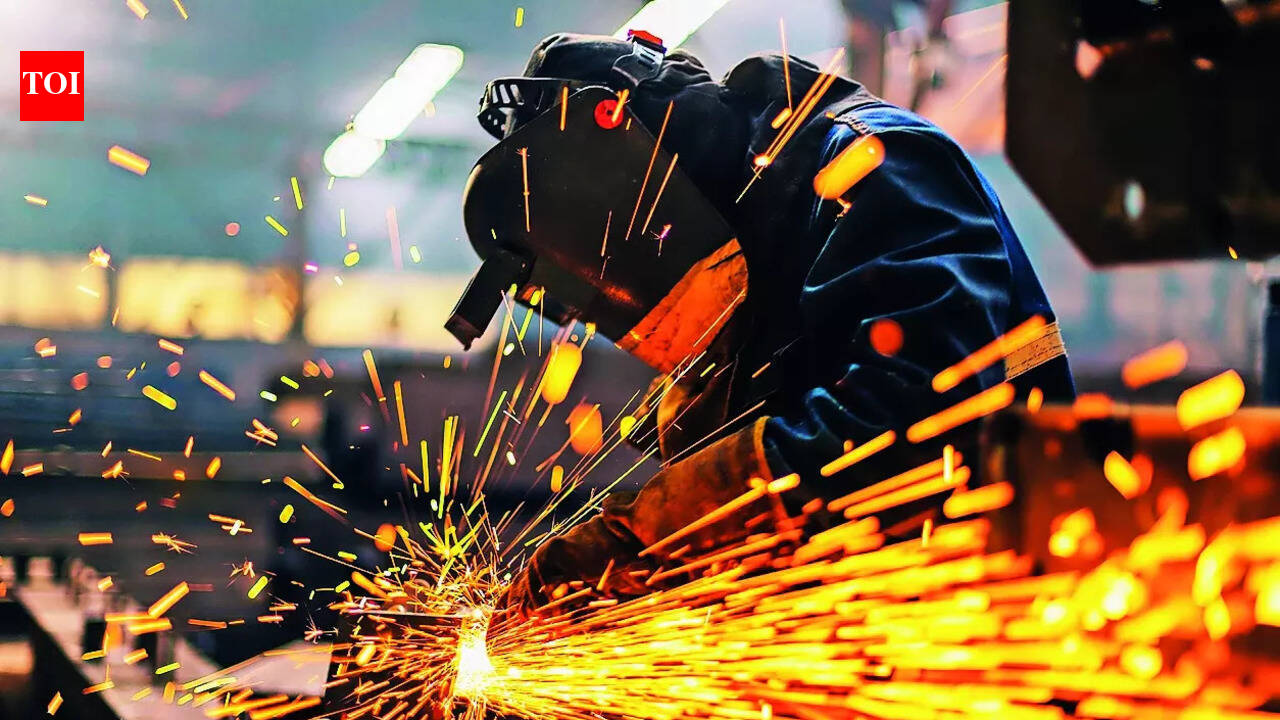 PMI profile: Manufacturing sector activity sees marginal recovery in January