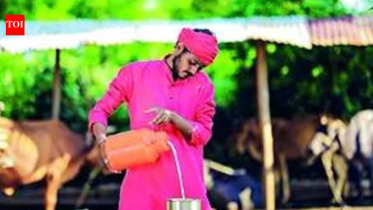 India stands its ground on dairy, agri products